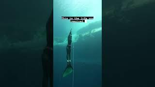 POV: Remote Work From Anywhere in the World as a Competitive Freediver