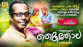 Kaithola | Malayalam Nadanppattukal | Folk Song | Jithesh Kakkidippuram | Vismaya Vijayan