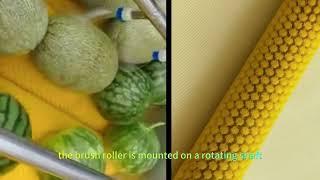 fruit and vegtable brush roller