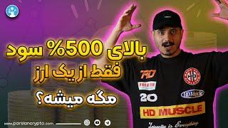فقط با یک ارز سرمایم رو 5 برابر کردم!! میم کوین های انفجاری که می تونه زندگیتو عوض کنه!