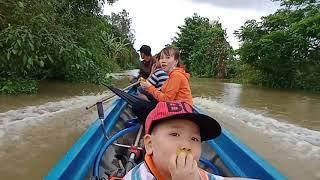 Bắt chuột đồng mùa mưa bão. Catch hamsters .Khang Toàn Channel