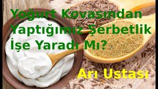 Arı Ustası Sıfırdan Kolay Arıcılık Kursu -14 Yoğurt Kovasından Şerbetlik Acaba İşe Yaradı Mı?