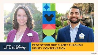 Protecting Our Planet Through Disney Conservation | S2E9