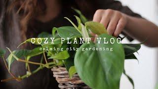 A Cozy Plant Vlog | Calming City Gardening