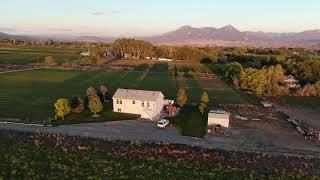 Hotchkiss Colorado Country Home on 8 acres for sale