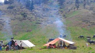 Organic Nepali Mountain Village Life in Nepal | Most Peaceful & Relaxing Village Life in the Rain