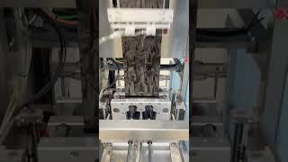 Dual lane packing machine shaped bag packer for liquid #packagingmachinefactory #machine #copper#cnc