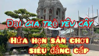 đại gia trẻ mới mua cây sanh nhỏ gần 1 tỉ, giữa trưa nắng phi đi mục sở thị ngay,ngắm dàn cây khủng