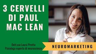 I 3 cervelli di Paul MacLean e il Neuromarketing