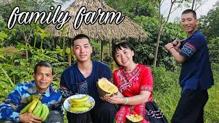 Tuan and Grandpa Clean Up the Family Farm: This Land Is Grandpa’s, Not Pao’s | SUNG A PAO