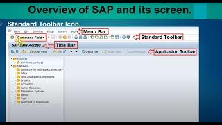 01) SAP Screen Navigation.