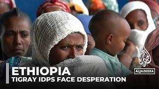 Ethiopia's Tigray IDPs face desperation: Aid scarce and families struggle amid ongoing tensions