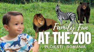 WE VISITED THE BUCOV ZOO IN PLOIEȘTI ROMANIA