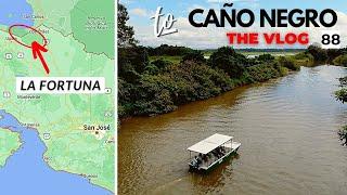 Costa Rica Road Trip Adventure Part 13: Caño Negro, A Bird Watching Paradise