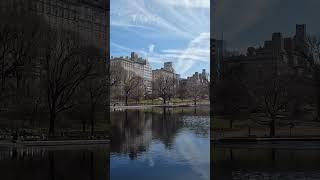 #Shorts little pond in Early Spring Day in Central Park #centralpark #newyork #newyorkcity