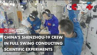 China's Shenzhou-19 Crew in Full Swing Conducting Scientific Experiments