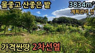 (매물번호12451) 보은부동산 3834㎡(1160) 보은토지 보은땅매매매물 시골토지 귀농귀촌 전원주택지 촌땅 청주토지 청주땅 대전땅 옥천땅 산속땅 하천 물가싼땅 1억2천만원