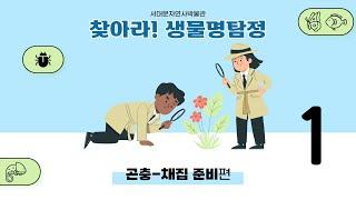 [찾아라! 생물명탐정] 곤충편 1