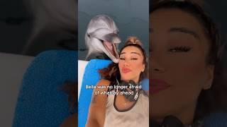 The bond between dolphin Bella and the girl #animals #love #shorts