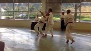 Aiki Budo Dan Testing June 2013 -  Steve Garrett