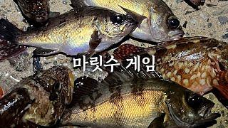 무자비한 볼락 마릿수 게임 (남해)