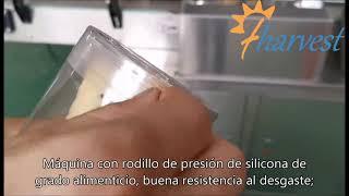 Máquina de sellado de cinta automática para botella redonda,caja cuadrada,contenedor octágono