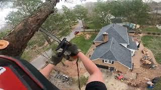 Removing a pine with the help of a knuckle boom crane