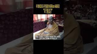 죽어도 죽지 않는 신비한 티베트 '툭담'  (보고도 믿기지가...) |  #세계불교