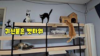 여자들이보면 허파뒤집어지는 영상.......ㅋ