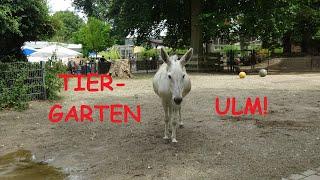 KLEINER TIERPARK mit einigen Überraschungen - TIERGARTEN ULM! 