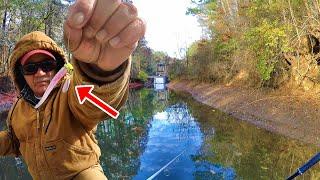 Having Trouble Finding Crappie? Try THIS To Locate TONS Of Fish!!!