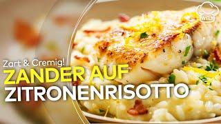 ZARTER ZANDER AUF ZITRONENRISOTTO: So einfach filetierst du einen ganzen Fisch! | WELT Rezepte