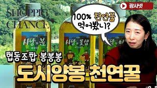 [더깊이쇼핑라이브 ] 진짜 100% 천연숙성꿀 먹어는 봤을까요? / 협동조합 봉봉봉