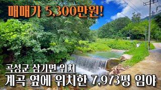 [전남임야매매] 매물번호#173 계곡 옆에 위치한 임야 ! 곡성군 삼기면 원등리 임야 시골땅 촌땅 토지 매매