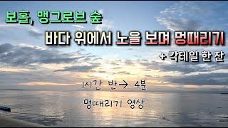 [멍~] 보홀 맹그로브 숲, 바다 위에서 노을 보며 멍때리기  #보홀여행 #보홀자유여행 #맹그로브숲 #보홀노을 #보홀선셋 #칵테일