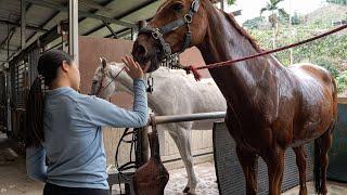 Great ! Performance by traditional craftsmen