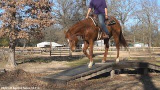 "Good Western Movie" Going over Obstacles -  SOLD overnight!