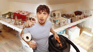 My Cleaning Routine w/ 14 Guinea Pigs 🫧