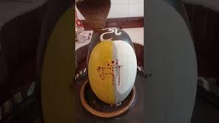 shukarvaar shivalaya shingaar#youtubeshorts#shortvideo#shorts#religion#status#shiv#shivalaya#kamboj