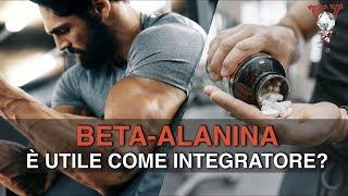 Beta Alanina: è un integratore realmente utile? Effetti e dosi