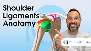 Clinical Anatomy of Shoulder Ligaments | Expert Physio Guide