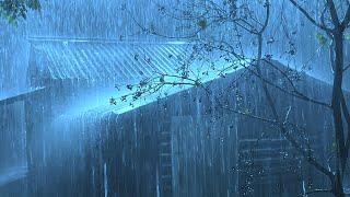 Beat Stress Within 5 Minutes to Deep Sleep with Heavy Rain & Thunder Sounds on a Tin Roof at Night