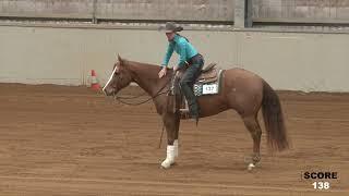 NRHA Oceania 2024 - Green Reiner Level 1 Champion