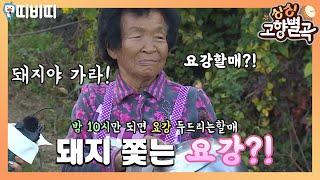 밤 10시에 요강을 두드린다?!ㅣ안동시 북후면 신전1리 [싱싱고향별곡][TBC-띠비띠]