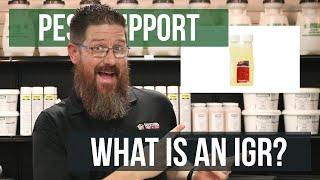 What is an IGR? | Pest Support