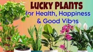 BEST LUCKY RARE PLANTS FOR 2025 | FENG SHUI PLANTS FOR 2025 | LUCKY PLANTS FOR HOME & WORK