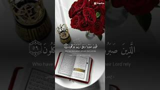 beautiful ️ Recitation of Quran Majeed ##