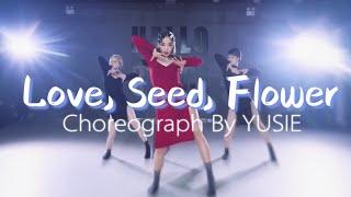 「爱.籽.花」张钰 高级优雅性感编舞 || 编舞：希希YUSIE || "Love, Seed, Flower" - Yu Zhang  Choreograph By YUSIE