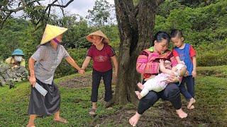 Cruel Mother-in-Law’s Plot EXPOSED: Will the Police Save Cu Bon’s Family in Time?