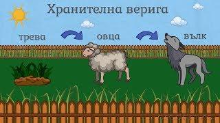 Хранене на животните - Човекът и природата 3 клас | academico